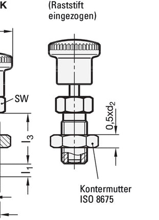 GANTER Rastbolzen GN 817 d1 10 mm d2 M 16 x 1,5 mm l1 12 mm ( 4601001396 )