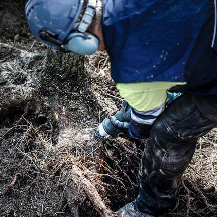 BOSCH Säbelsägeblatt Expert Tough Wood Länge 225 mm Breite 25 mm ( 4000837497 )