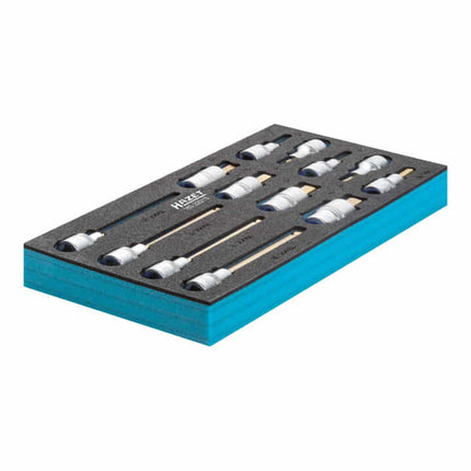 HAZET Werkzeugmodul 163-220/13 13-teilig ( 4000871198 )