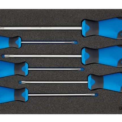 GEDORE Werkzeugmodul 1500 CT1-2163 TX 6-teilig 1/3-Modul ( 4000881217 )