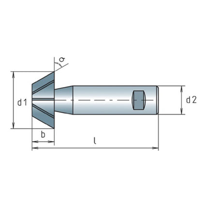 MAYKESTAG Winkelfräser DIN 1833 D Typ N D.32 mm ( 4117802048 )