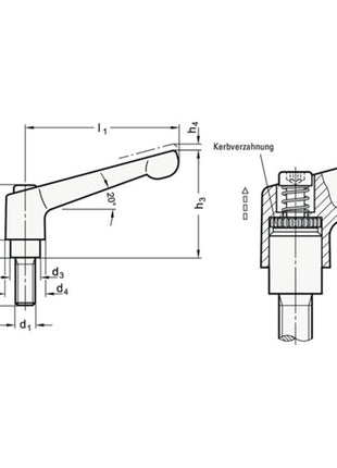 Levier de serrage réglable GANTER GN 300 d1 M 6 mm (4601000546)