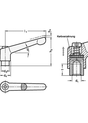 Levier de serrage réglable GANTER GN 300 d1 M 8 mm (4601000574)