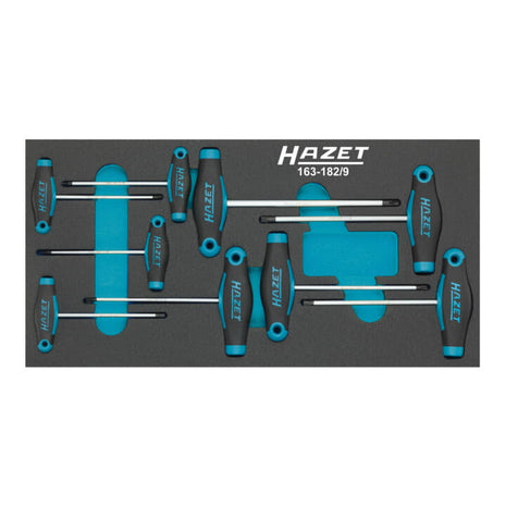 HAZET Werkzeugmodul 163-182/9 9-teilig ( 8000465896 )