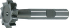 MAYKESTAG Schlitzfräser DIN 850 D Typ N D.22,5 mm ( 4117802234 )