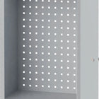 BEDRUNKA+HIRTH Hängeschrank  H750xB500xT200 mm Vollblechtüren ( 9000426220 )