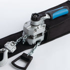 PLANETA Hebelzug PAH 250 Tragfähigkeit 250 kg Hubhöhe 1,5 m ( 9113450240 )