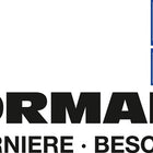 Vormann Sturmhaken ( 3000272377 ) Länge 120 mm mit Ösenplatte zum Aufschrauben