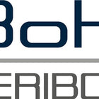 Veribor Saugheber ( 4000817357 ) Tragfähigkeit 100 kg Kopf-Ø 120 mm