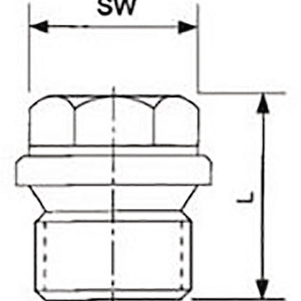 Springer Verschlussschraube DIN 910 ISO 228-1 ( 4000000267 ) NPS=1/4 ″ L 21 mm