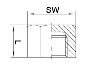 Springer Kappe EN 10226-1 ( 4000000280 ) NPS=1 ″ L 22 mm