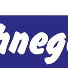 Schnegel Schraubwechselstift ( 3000259908 ) Vierkant 10 x 100 mm