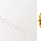 Mehrjahresprüfplakette ( 9000477119 ) B25xL60 mm Folie