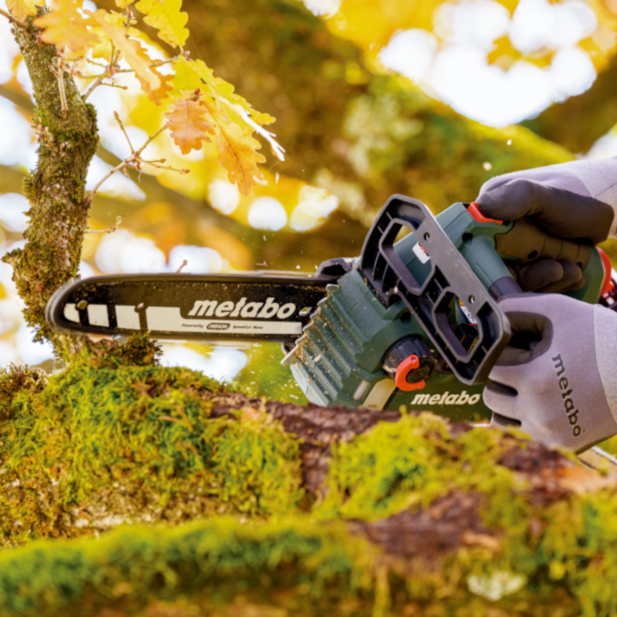 Metabo MS 18 LTX BL 25 Akku Kettensaege 18 V 25 cm Brushless 1x LiHD Akku 5 5 Ah ohne Ladegeraet 4 - toolbrothers