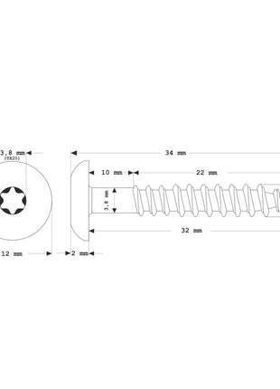 Meisterling Fassadenschrauben 4,8x32 mm 100 Stück ( 010020000121 ) 12 mm Flachkopf hellgrau mit Torx Teilgewinde V2A Edelstahl