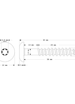 Meisterling Fassadenschrauben 4,8x38 mm 100 Stück ( 010020000241 ) 12 mm Flachkopf dunkelgrün mit Torx Teilgewinde V2A Edelstahl