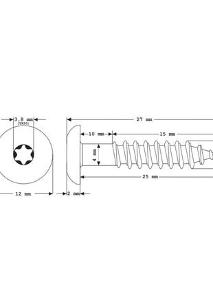 Meisterling Fassadenschrauben 5,5x25 mm 100 Stück ( 010030000001 ) 12 mm Flachkopf weiß mit Torx Teilgewinde V4A Edelstahl