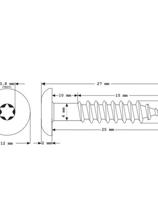 Meisterling Fassadenschrauben 5,5x25 mm 100 Stück ( 010030000011 ) 12 mm Flachkopf anthrazit mit Torx Teilgewinde V4A Edelstahl