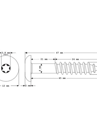 Meisterling Fassadenschrauben 5,5x45 mm 100 Stück ( 010030000321 ) 12 mm Flachkopf anthrazit mit Torx Teilgewinde V4A Edelstahl