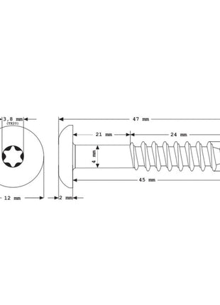 Meisterling Fassadenschrauben 5,5x45 mm 100 Stück ( 010030000331 ) 12 mm Flachkopf dunkelgrau mit Torx Teilgewinde V4A Edelstahl