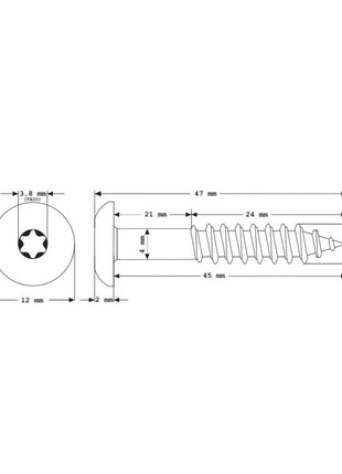 Meisterling Fassadenschrauben 5,5x45 mm 100 Stück ( 010030000341 ) 12 mm Flachkopf hellgrau mit Torx Teilgewinde V4A Edelstahl