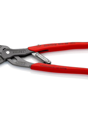 KNIPEX Wasserpumpenzange SmartGrip® Länge 250 mm Spannweite 10-36 mm ( 4000810699 )