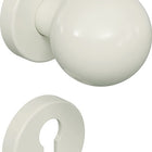 HEWI Rosettengarnitur 111R03.133 Kunststoff 99 ( 3000205065 )