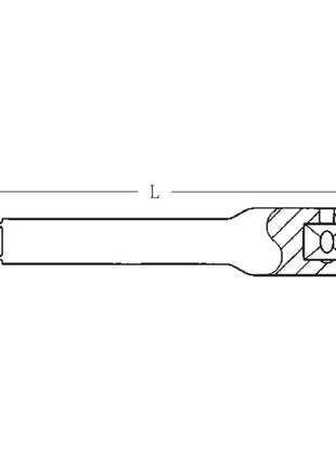 Extensión STAHLWILLE 405 1/4″ longitud 54 mm (4000826262)