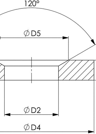 AMF Kegelpfanne DIN 6319G für Schrauben M16 ( 4000833450 )